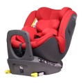 sperber-maple-red.jpg
