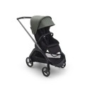 Graphite-Midnight-Black-Forest-Green.jpg