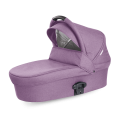 pram_dus-min.png