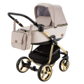 Reggio Y-847