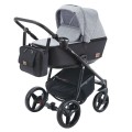 Reggio Y-37