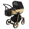 Reggio Y-828