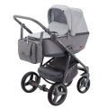 Reggio Y-39