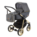 Reggio Y-845